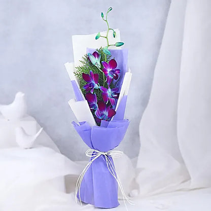 Midnight Purple Grace