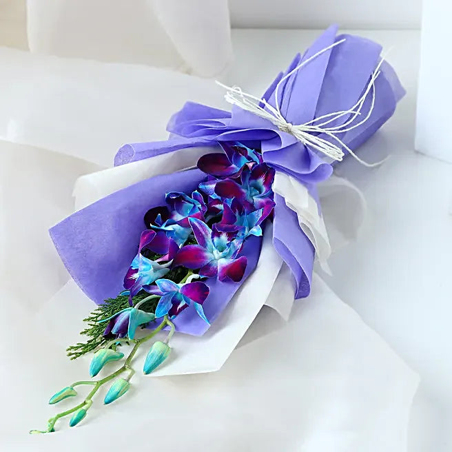 Midnight Purple Grace