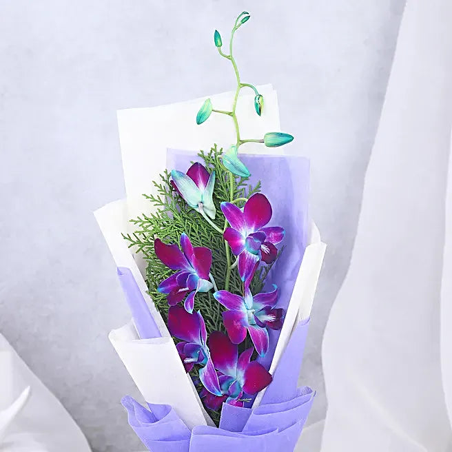Midnight Purple Grace