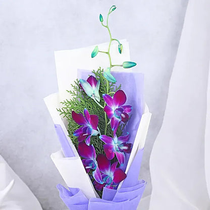 Midnight Purple Grace