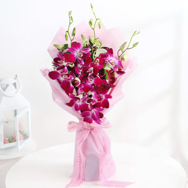 Velvet Blush Orchid
