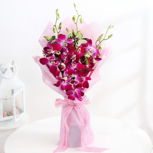 Velvet Blush Orchid