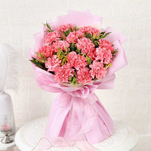 Graceful Pink Carnations